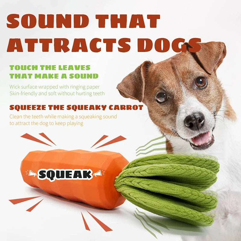 Harvest Carrot Chew Toy