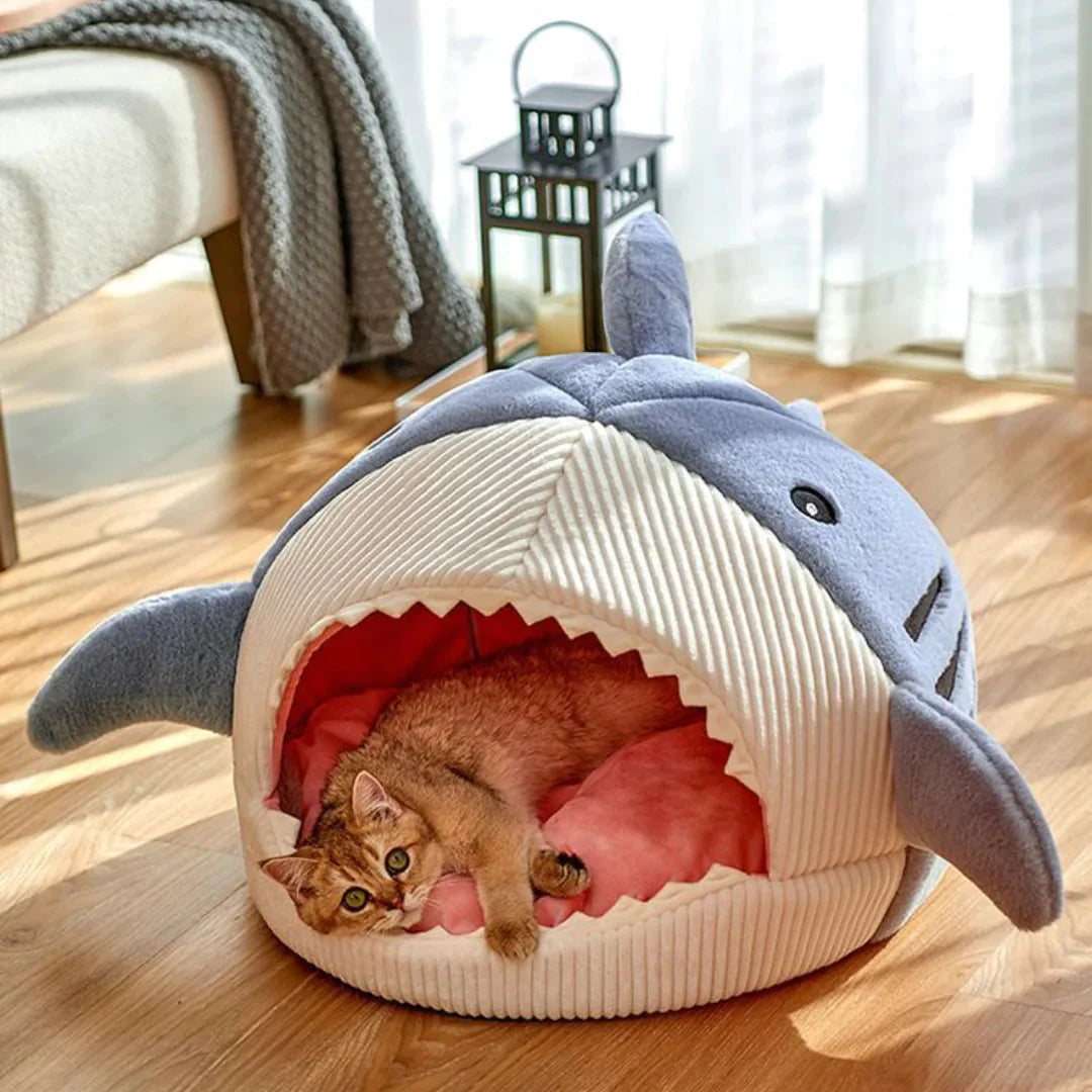 Little Shark Den